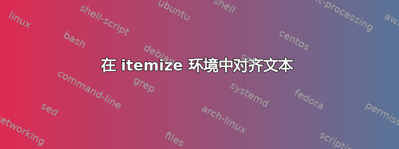 在 itemize 环境中对齐文本