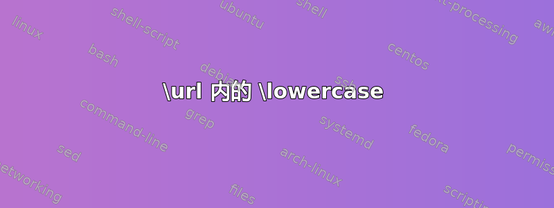 \url 内的 \lowercase