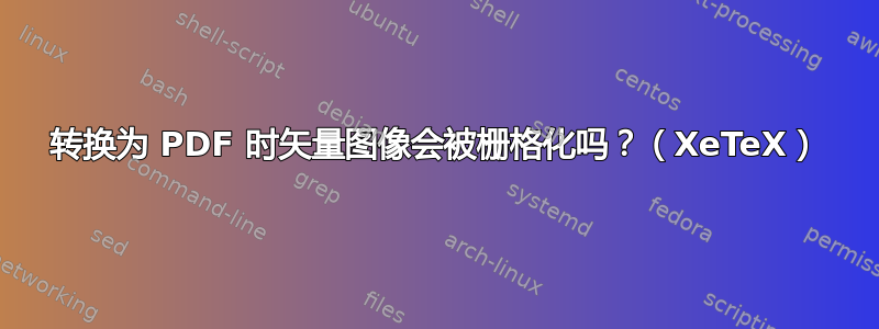 转换为 PDF 时矢量图像会被栅格化吗？（XeTeX）