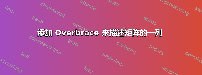 添加 Overbrace 来描述矩阵的一列