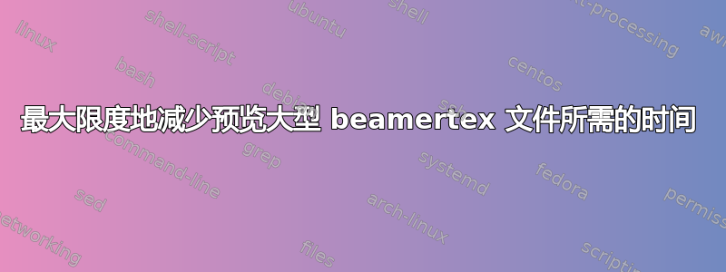 最大限度地减少预览大型 beamertex 文件所需的时间