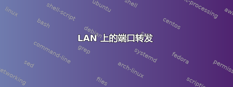 LAN 上的端口转发