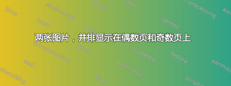 两张图片，并排显示在偶数页和奇数页上 