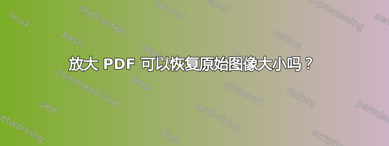 放大 PDF 可以恢复原始图像大小吗？