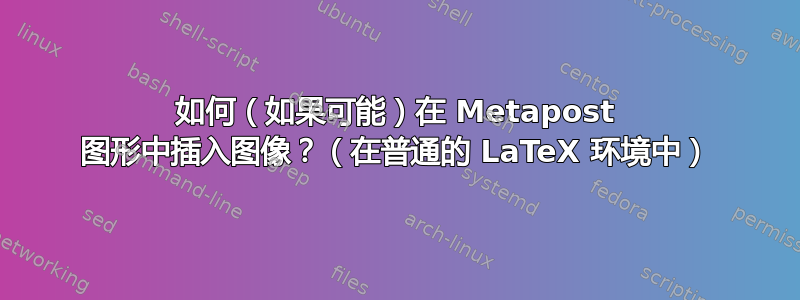 如何（如果可能）在 Metapost 图形中插入图像？（在普通的 LaTeX 环境中）