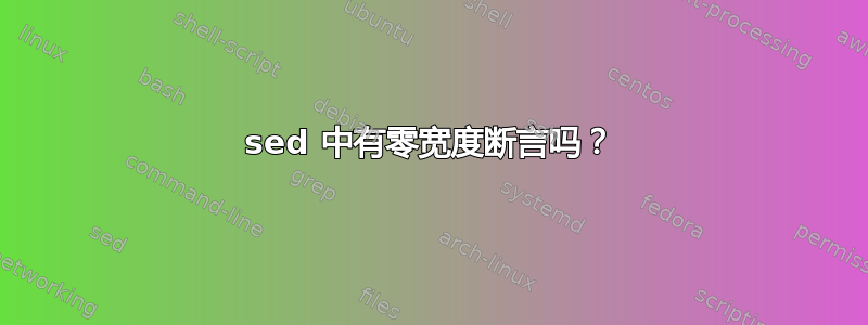 sed 中有零宽度断言吗？