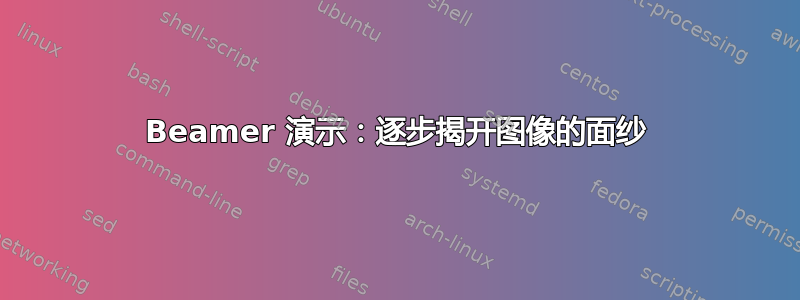 Beamer 演示：逐步揭开图像的面纱