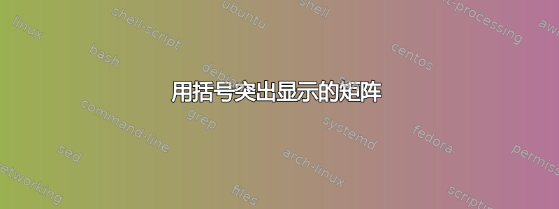 用括号突出显示的矩阵