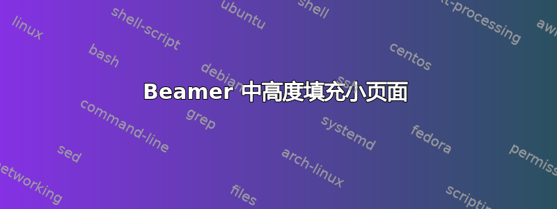 Beamer 中高度填充小页面