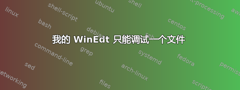 我的 WinEdt 只能调试一个文件