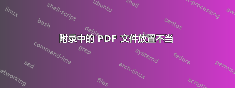 附录中的 PDF 文件放置不当