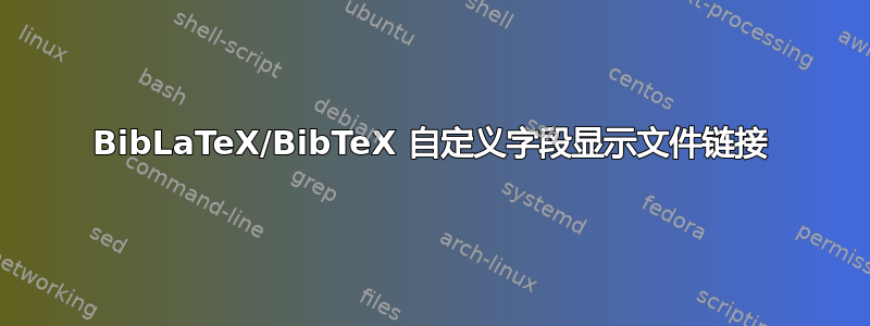 BibLaTeX/BibTeX 自定义字段显示文件链接