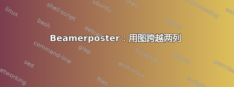 Beamerposter：用图跨越两列