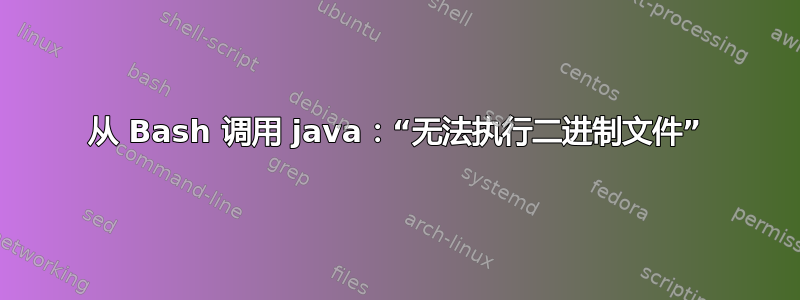 从 Bash 调用 java：“无法执行二进制文件”