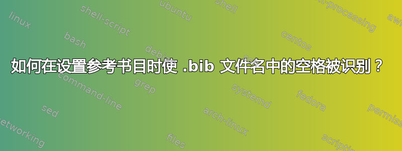 如何在设置参考书目时使 .bib 文件名中的空格被识别？