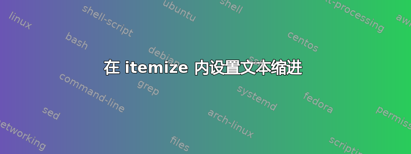 在 itemize 内设置文本缩进