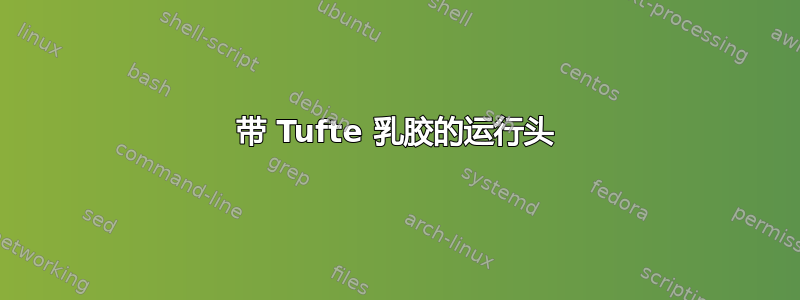 带 Tufte 乳胶的运行头