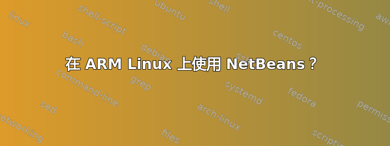 在 ARM Linux 上使用 NetBeans？