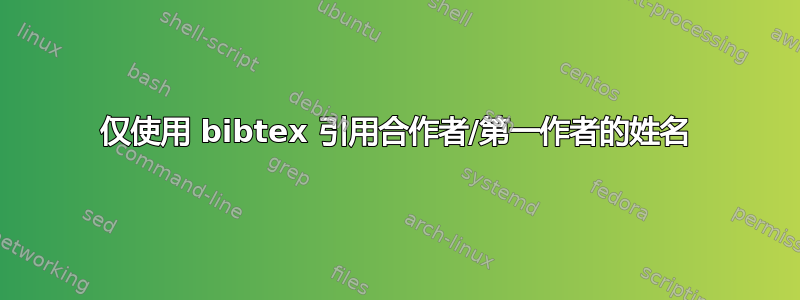 仅使用 bibtex 引用合作者/第一作者的姓名