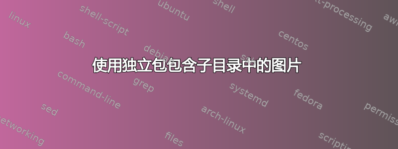 使用独立包包含子目录中的图片