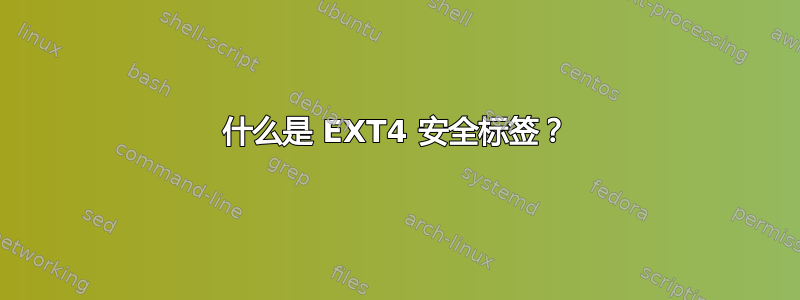 什么是 EXT4 安全标签？