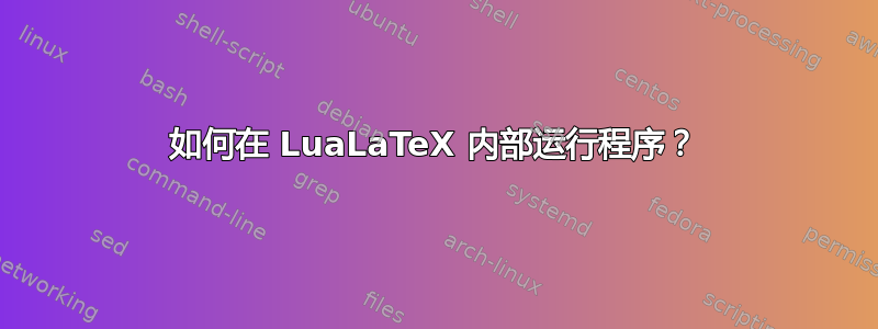 如何在 LuaLaTeX 内部运行程序？