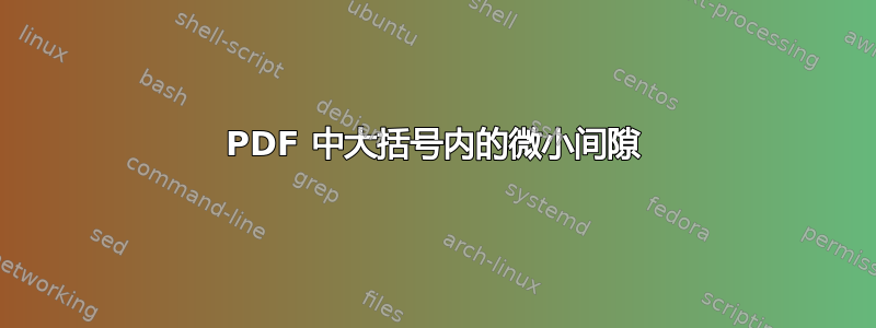 PDF 中大括号内的微小间隙