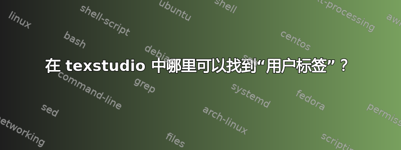 在 texstudio 中哪里可以找到“用户标签”？