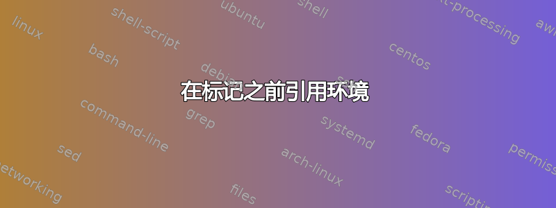 在标记之前引用环境