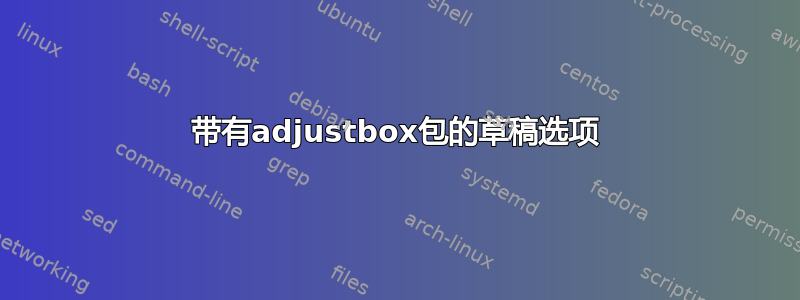 带有adjustbox包的草稿选项