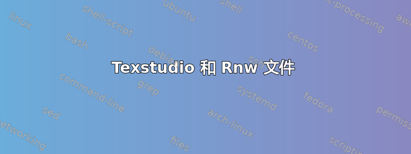 Texstudio 和 Rnw 文件