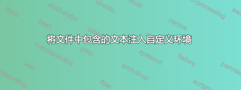 将文件中包含的文本注入自定义环境