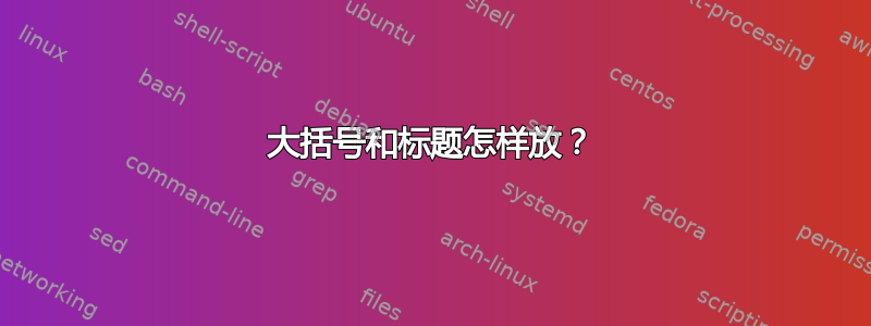 大括号和标题怎样放？