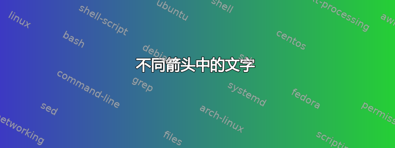 不同箭头中的文字