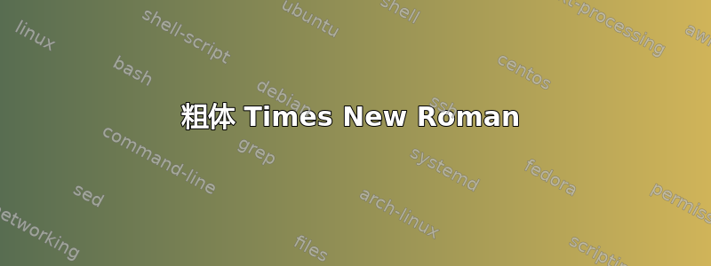 粗体 Times New Roman