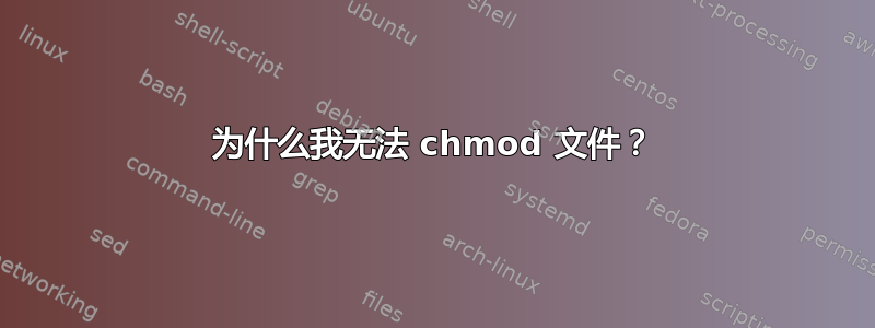 为什么我无法 chmod 文件？