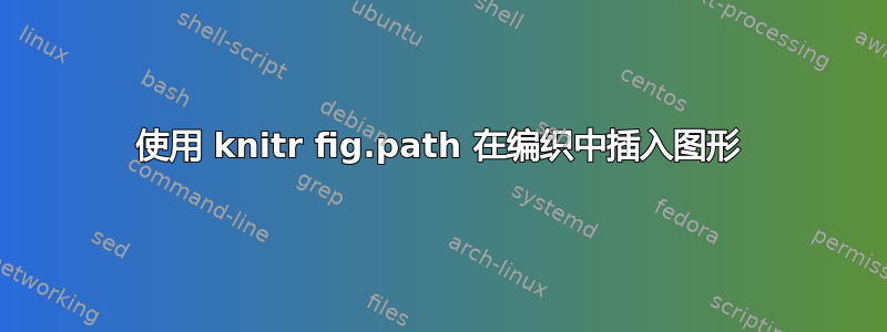 使用 knitr fig.path 在编织中插入图形