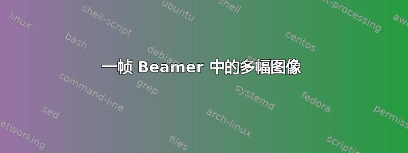 一帧 Beamer 中的多幅图像