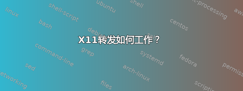 X11转发如何工作？