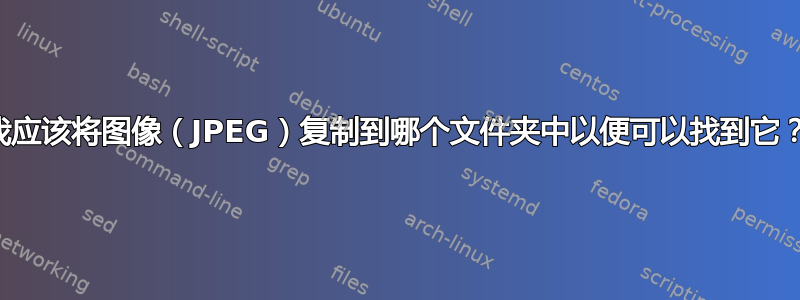 我应该将图像（JPEG）复制到哪个文件夹中以便可以找到它？