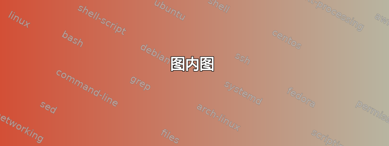 图内图