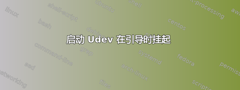 启动 Udev 在引导时挂起