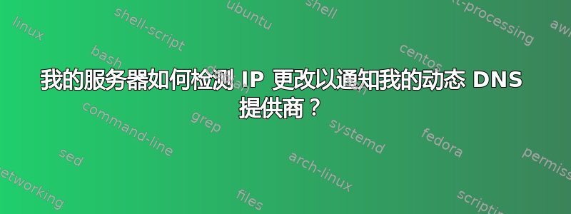 我的服务器如何检测 IP 更改以通知我的动态 DNS 提供商？