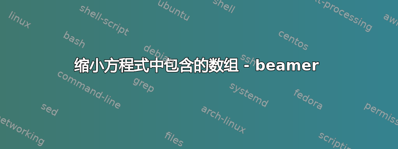 缩小方程式中包含的数组 - beamer