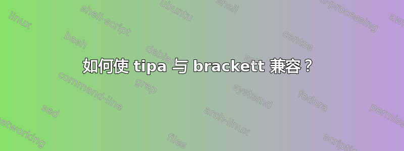 如何使 tipa 与 brackett 兼容？