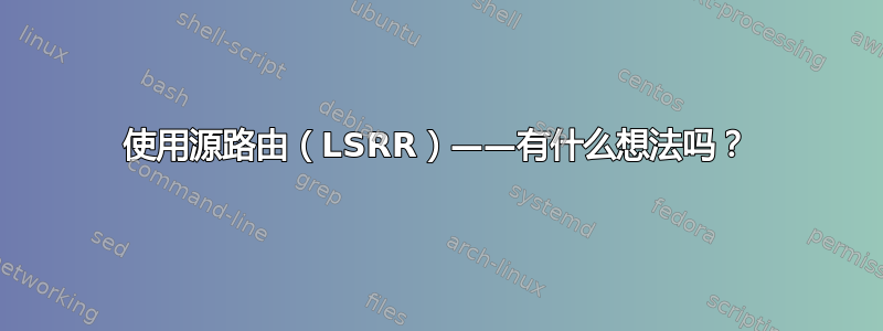 使用源路由（LSRR）——有什么想法吗？