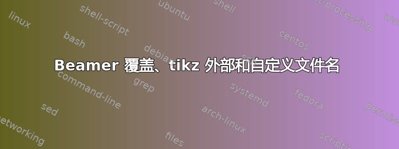 Beamer 覆盖、tikz 外部和自定义文件名