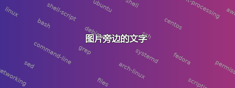 图片旁边的文字