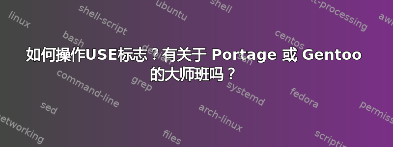 如何操作USE标志？有关于 Portage 或 Gentoo 的大师班吗？