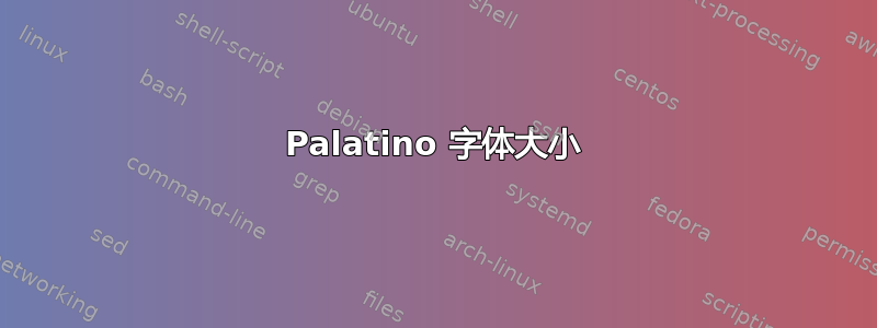 Palatino 字体大小